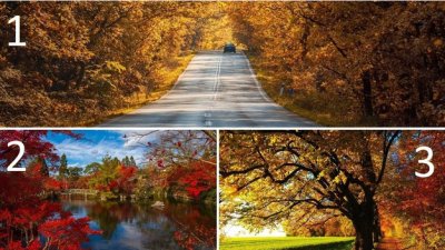 Три картини разкриват какво ви очаква до края на септември