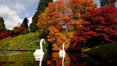 Любовни есенни рими – 17-а част