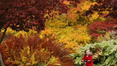 Къде да заведем децата през почивните дни 27-28 октомври 2012?