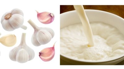 Чесново мляко – за силен имунитет и здраво сърце