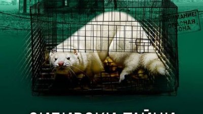 „Сибирски тайни“ – Александра Маринина