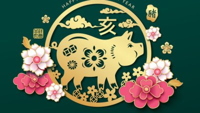 Прогноза за годината на Жълтата земна Свиня