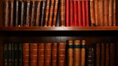 Мисъл на деня