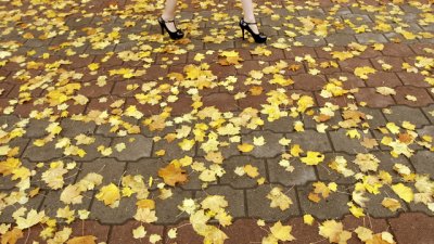 Есенните листа срещу високите токчета