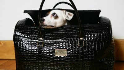 Как да почистим лачена кожа?