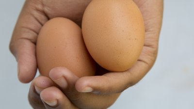 Какво никога да не правите със скротума му?