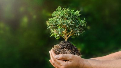 Празнични герои вадят хората от офисите, за да садят дръвчета