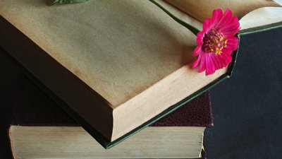 Мисъл на деня