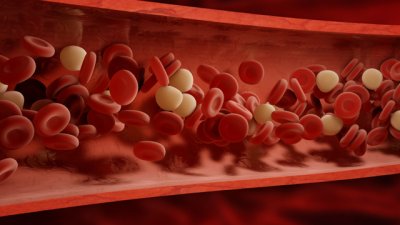 Малки трикове за подобряване на кръвообращението