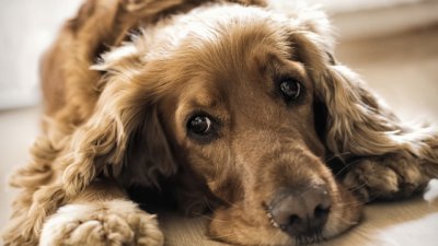 Притча за промяната