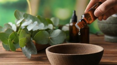 За какво да използвате масло от евкалипт 