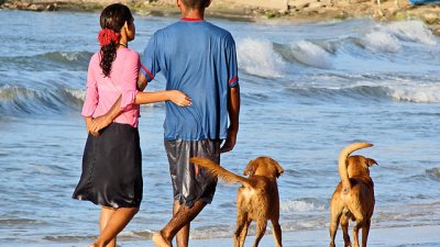 Каква порода куче подхожда на характера ни