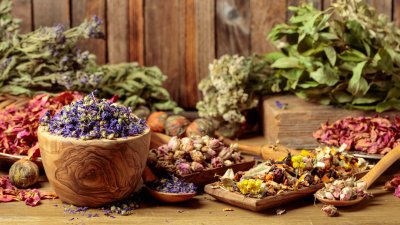 Билки с мощно противораково действие