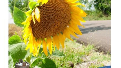 Още малко лято, моля!