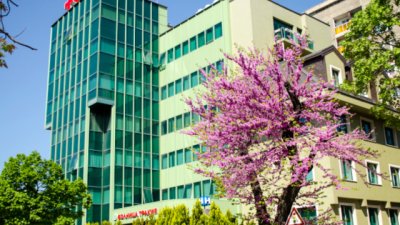 Модерен лапароскопски метод коригира пропадането на тазовите органи при жени