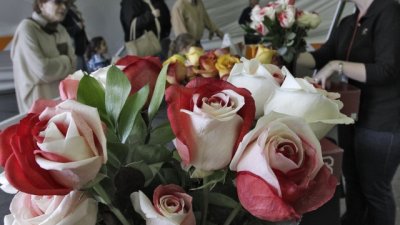 Благородната лъжа – за и против