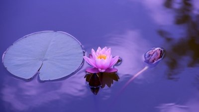 Мисъл на деня за... малките неща