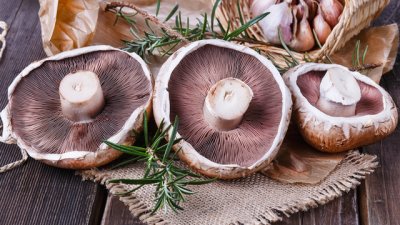 Гъби портобело – вкусни и полезни за здравето