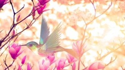 Мисъл на деня за... вярата