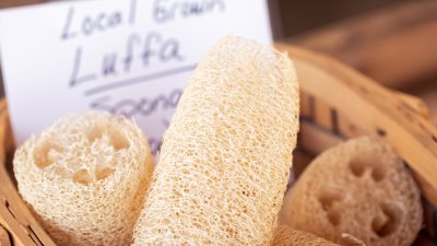 Колко често да сменяте гъбата за тяло луфа