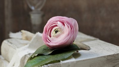 Мисъл на деня за знанието