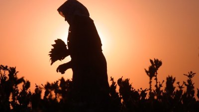 Сами определяме доброто здраве и дълголетието си