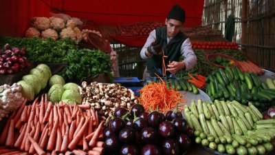 Най-подходящите места да съхраняваме есенните плодове и зеленчуци