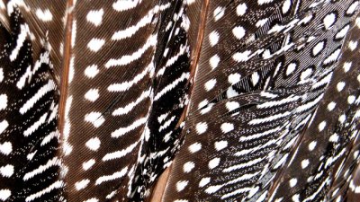 Маникюр с пера