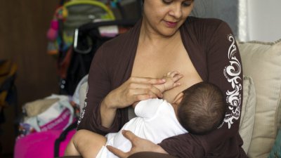 Храни за стимулация на кърмата