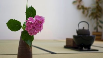 Чайната церемония учи на смирение и на красотата на природата