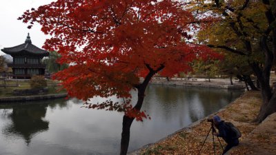 Любовни есенни рими – 22-ра част