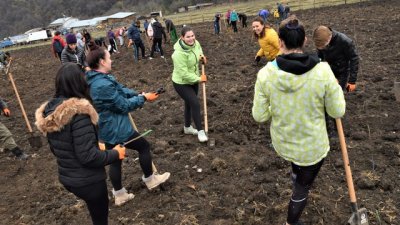 Студенти на ВУЗФ засадиха дръвчета в Новата гора на София