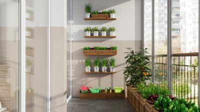 5 подправки, които спокойно можете да гледате на балкона