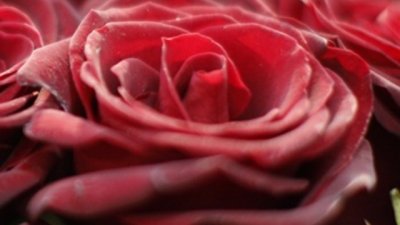 Фактори, които променят месечния цикъл