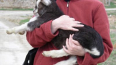 Жената поет