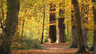 Дъх на есен и любов