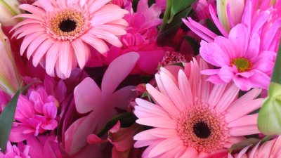 Днес празнуваме Цветница!