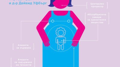 &bdquo;Бременната жена &ndash; ръководство за употреба&ldquo; 