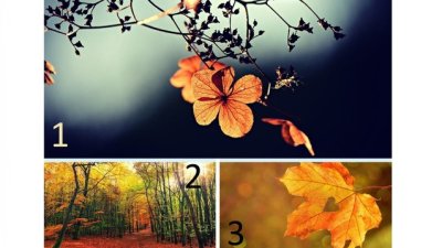 Тест: Какво ви очаква до края на октомври