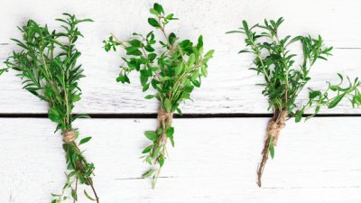 Билки, които контролират хормона на стреса