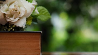 Притча за избора