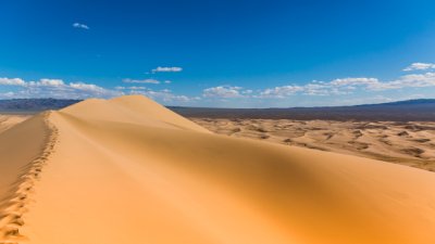 Знаете ли, че... първите динозавърски яйца са открити в пустинята Гоби?