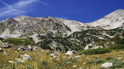 Любопитни факти за могъщия Пирин