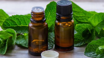Как да използвате масло от мента при пърхот 