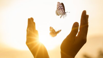 Ценни съвети, които ще променят живота ви