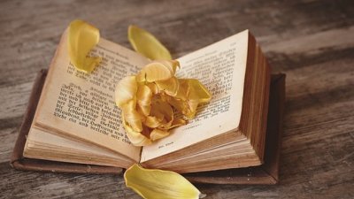 Мисъл на деня за... чудесата