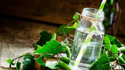 Брезов сок – еликсир за здраве и красота