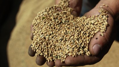 Диета за прочистване на организма