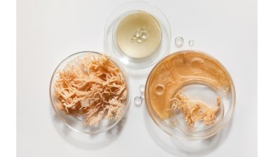 Морски мъх – суперхрана за силен имунитет и хубава кожа