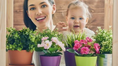 Растения, които подобряват съня